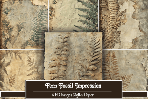 Download Fern Fossil Impression - Premium Resources